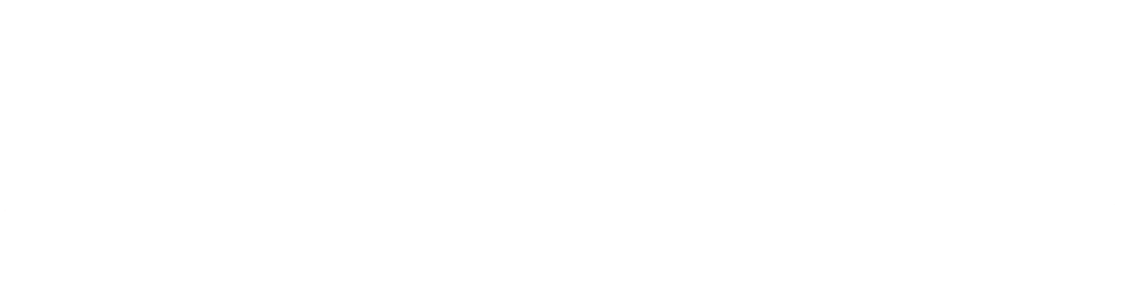 payment integrity services